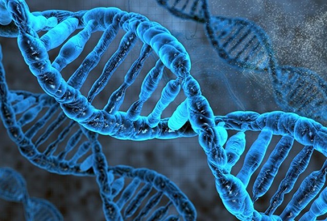 молекула молекула