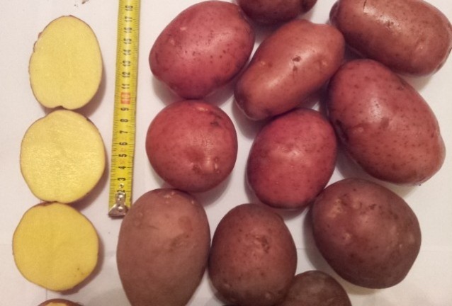 картофи картофи