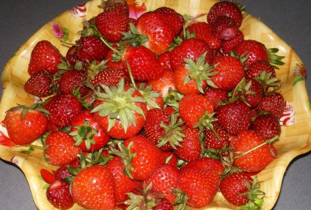 Ягоди Ягоди