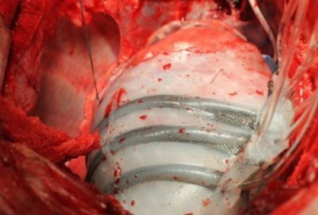 робот робот