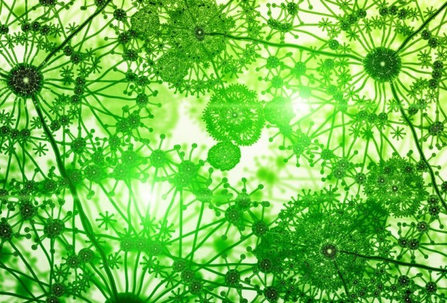 пробиотици пробиотици