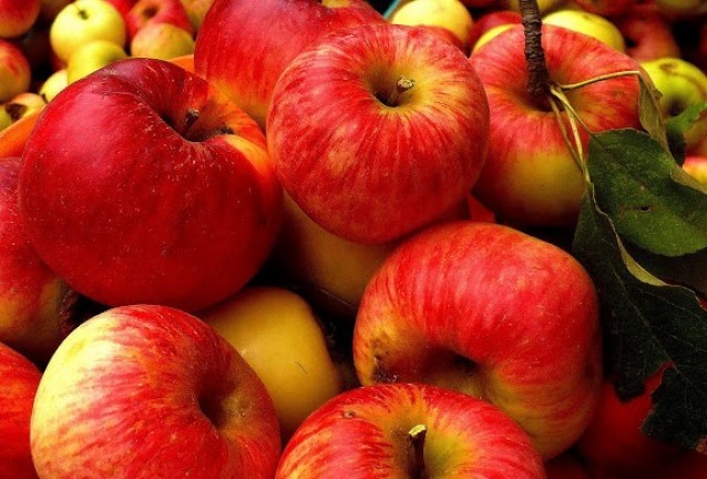Ябълки Ябълки