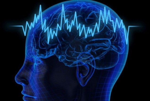 мозък мозък