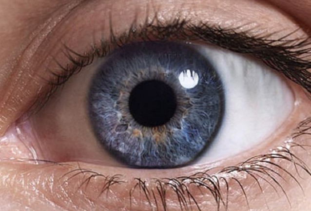 глаукома глаукома