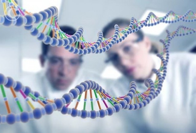 геном геном