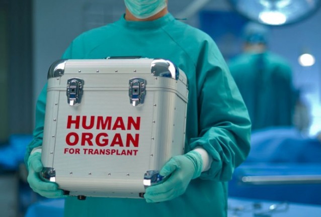 трансплантация трансплантация