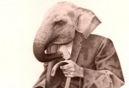 Слонска болест – какво е това?!