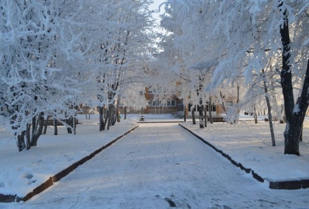 студ