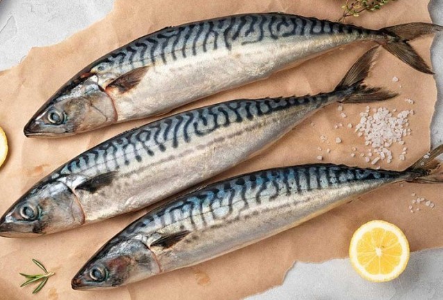 скумрия скумрия
