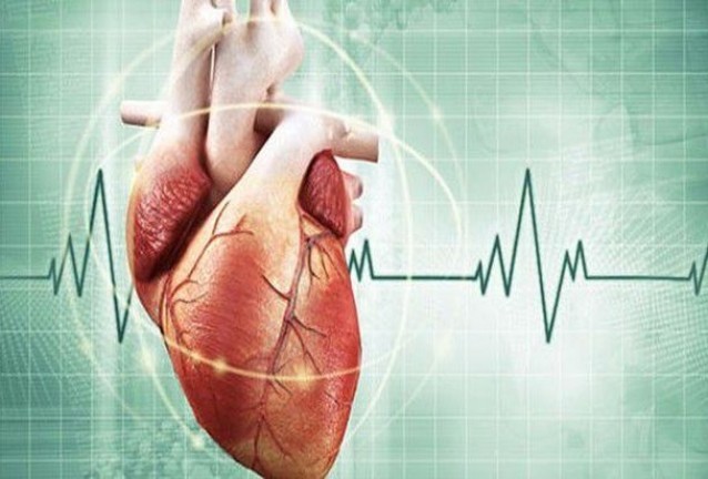 сърце сърце