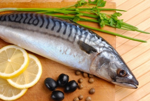 скумрия