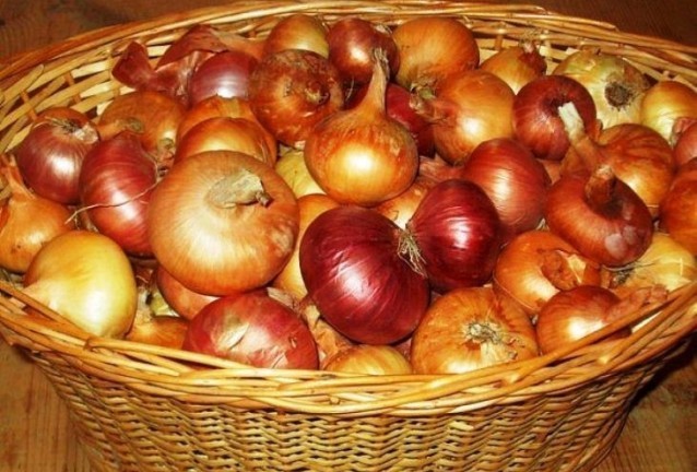 лук