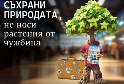 Кампанията Plant Health 4 Life: 4 години, 33 държави и милиони европейци в подкрепа на растителното здраве  