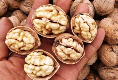 Храни, полезни за вътрешните органи