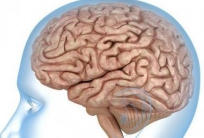 Нова причина за сенилна деменция шокира учените