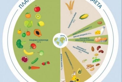 Защо не трябва да гладувате по време на диета за отслабване