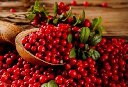 Горските плодове предпазват от диабет тип 2