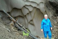 брушков2 брушков2